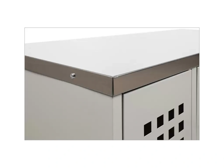 Шкаф для сумок ПРАКТИК Стандарт LS-42